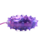 Nasstoys Purple Carnal Collection Kit