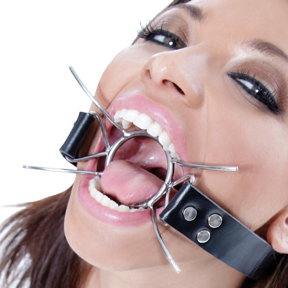 Fetish Fantasy Extreme Spider Gag, Silver