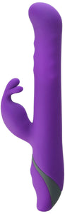 (WD) COMMOTION SAMBA PURPLE
