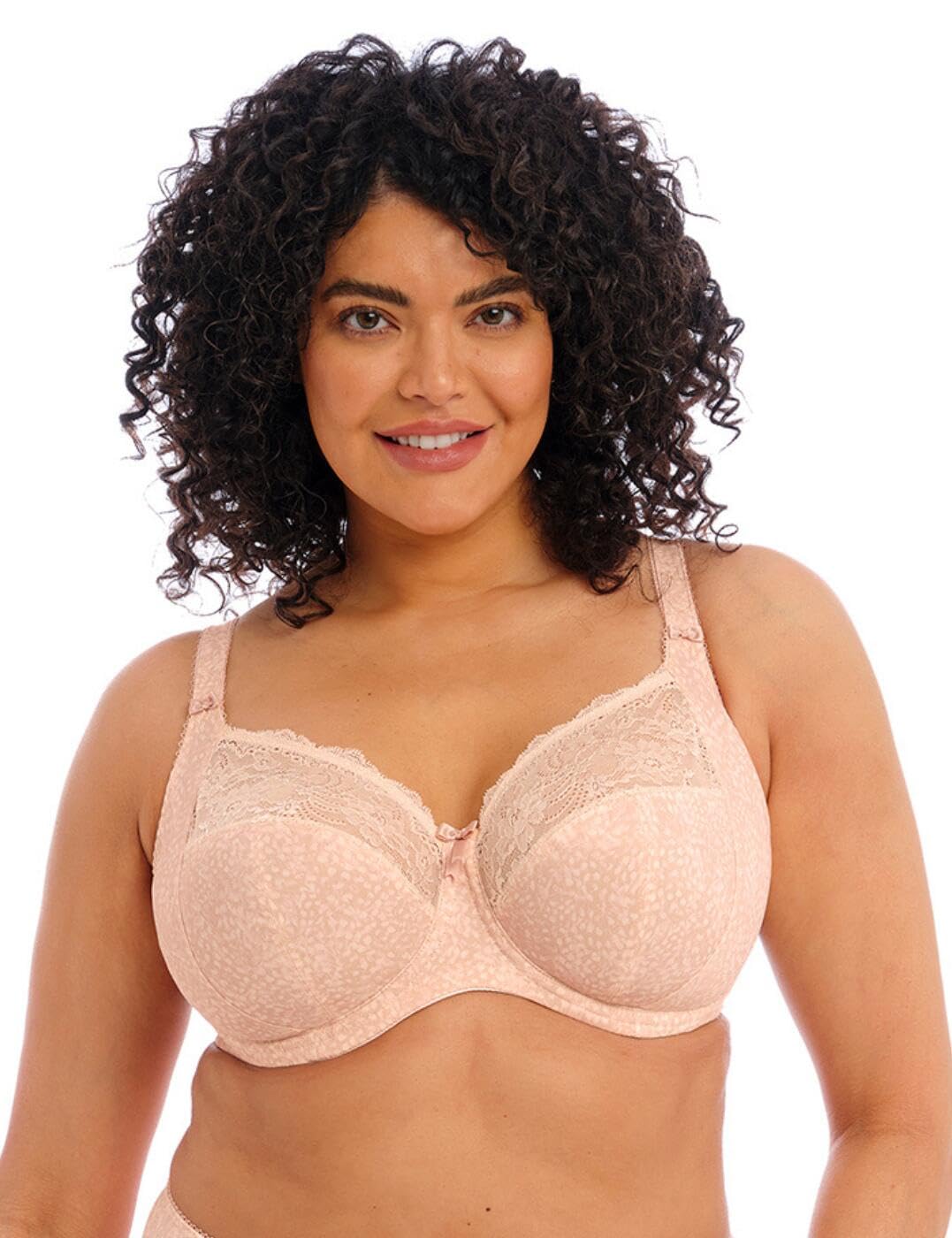 Elomi Womens Morgan Stretch Lace Banded Underwire Bra Cameo Rose