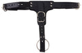 Premium Locking Leather Cock Ring and Anal Plug Harness