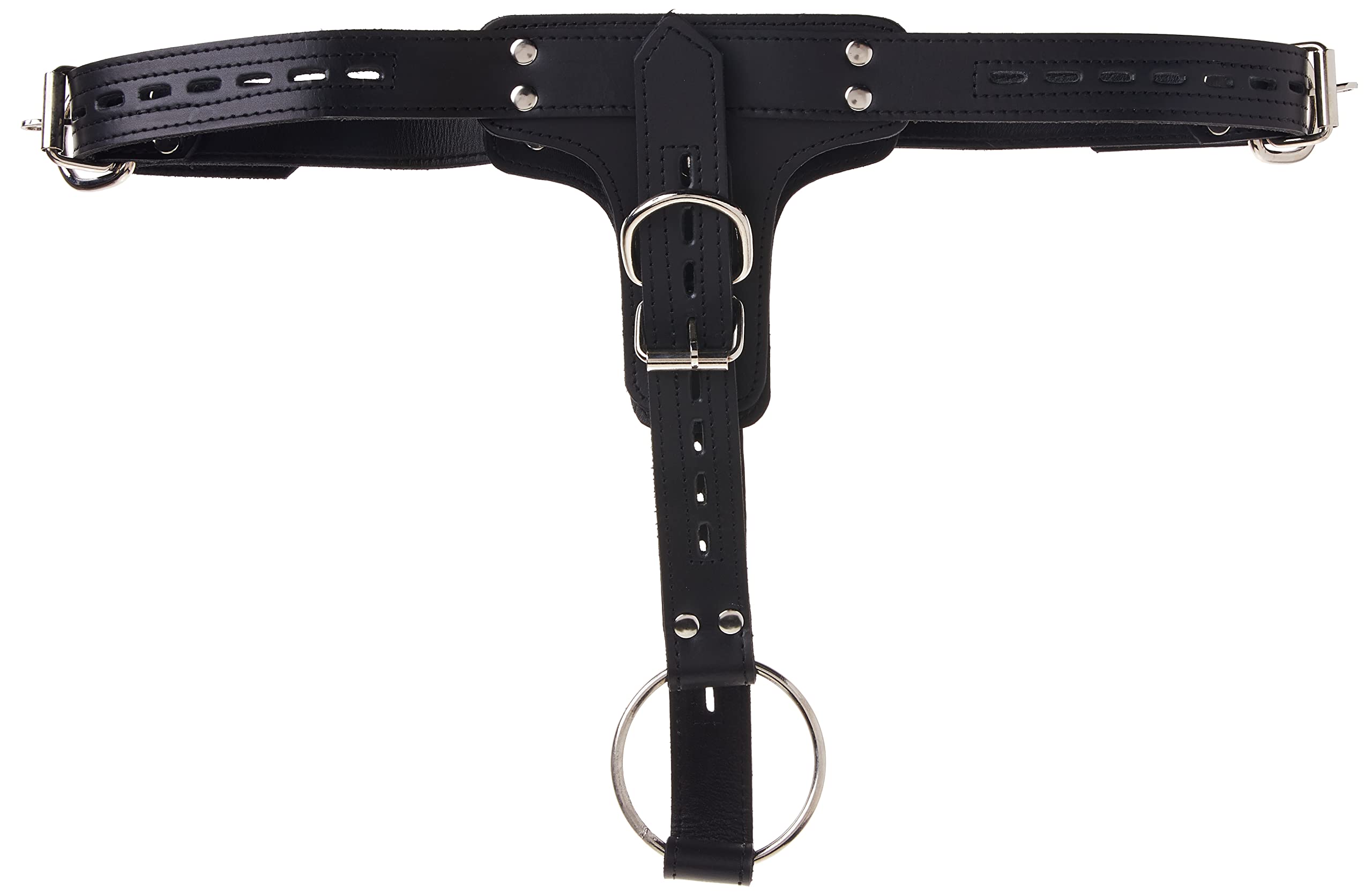 Premium Locking Leather Cock Ring and Anal Plug Harness