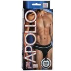 California Exotic Novelties Apollo Mesh Brief With C-Ring Medium/Large, Black