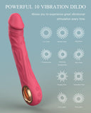 Nosakki Realistic Vibrator Dildo for Women, Sex Toys Clitoris G Spot Anal Stimulator with 10 Powerful Vibration Mode, Adult Toys