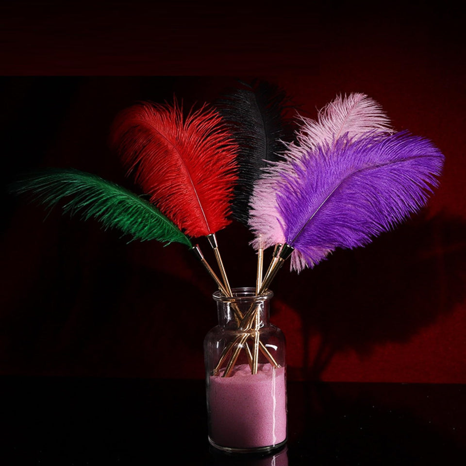 Sex Novelty Toys Sex Feather Tickler Sex Ticklers for Adults Bedroom Feather Teaser Feather Stick Spanking Toy Sex Whip for Role