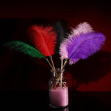 Sex Novelty Toys Sex Feather Tickler Sex Ticklers for Adults Bedroom Feather Teaser Feather Stick Spanking Toy Sex Whip for Role