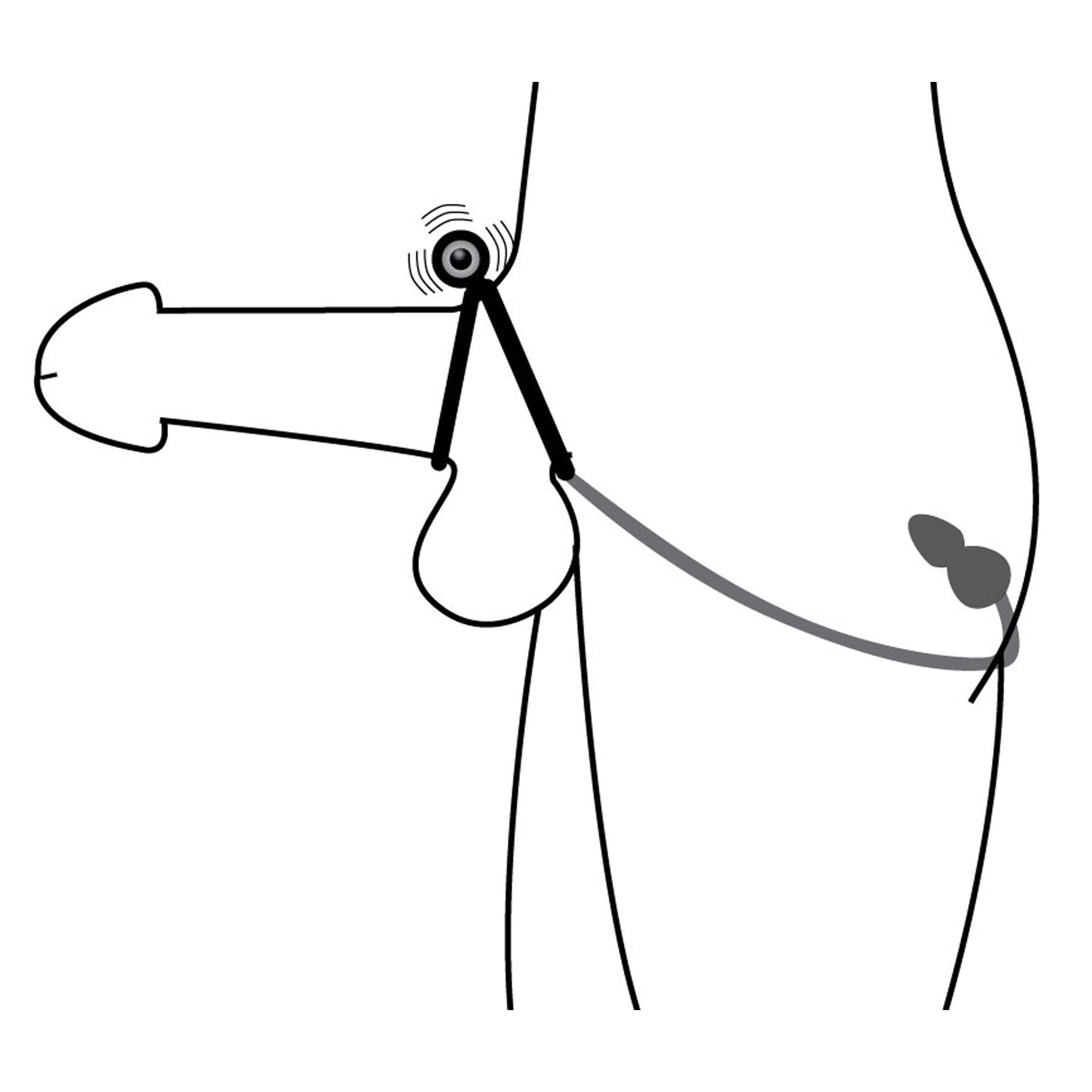 Master Series Prostatic Play Voyager 1 Vibrating Cock Ring And Anal Plug