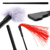 Feather Stick Sex Toys for Women Sensory Toys Erotic Torture Tool Teasing Feather Stick Constraint Cosplay