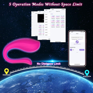 APP & Remote Control Vibrating Panties Wearable Vibrator, Healexcer Smartphones Dual Motors Adult Sex Toys for Women Couples Ple