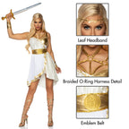 4 Pc Grecian Goddess, Includes Dress With Braided Halter Harness, Emblem Belt, Leaf Headband, And Arm Cuffs.