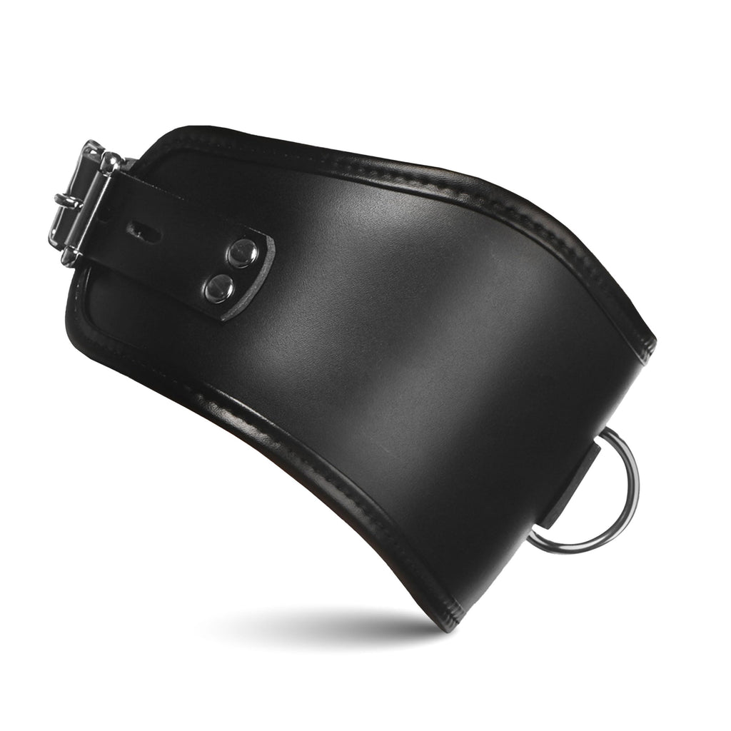 Master Series Padded Lock Posture Collar