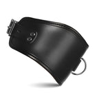 Master Series Padded Lock Posture Collar