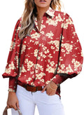 Astylish Women Casual Cute Lantern Sleeve Button Down Spring Plus Size Blouse Beautiful Flattering Modern V-Neck Print Bohemian 