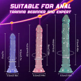Anal Plug Training Sets