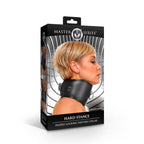 Master Series Padded Lock Posture Collar