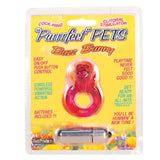Purrrfect Pets Buzz Bunny