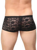 Mp Stretch Lace Mini Short Black Lrg