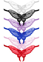 Butterfly Crotchless W/Peral Sequin Detail (Dz. Pack Only) Plus Si Assorted