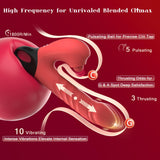 Thrusting Vibrating Dildo, 3 in 1 Female G Spot Vibrator with Clitoral Stimulator, Women Adult Sex Toys 3 Thrust 5 Pulsating 10