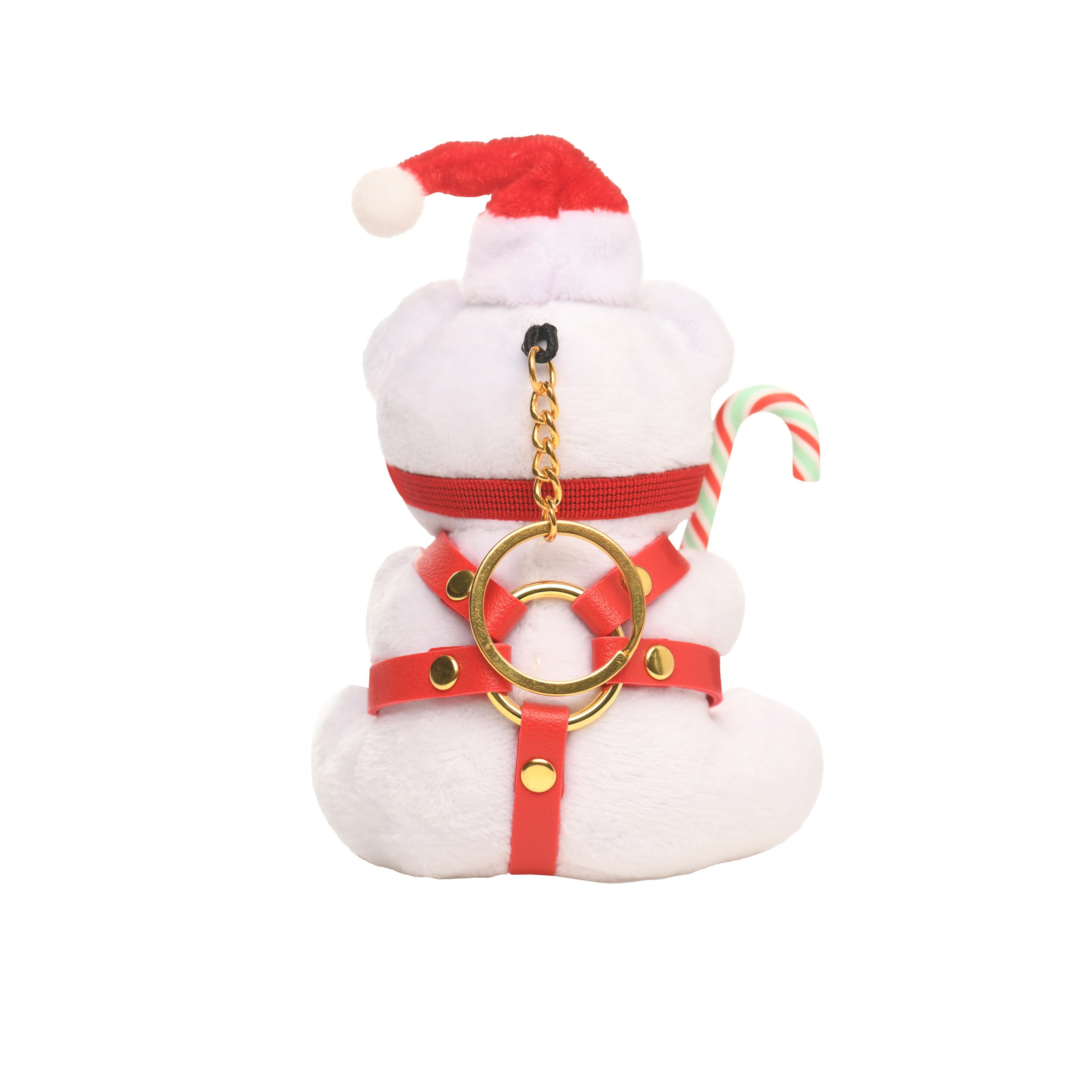 Master Series Holiday Bondage Bear Key W