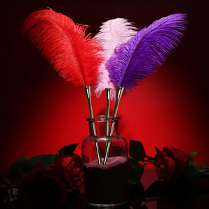 Sex Novelty Toys Sex Feather Tickler Sex Ticklers for Adults Bedroom Feather Teaser Feather Stick Spanking Toy Sex Whip for Role