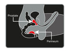 Rocks Off Cheeky Boy 7  Black