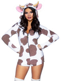X-LARGE  BROWN/WHIT