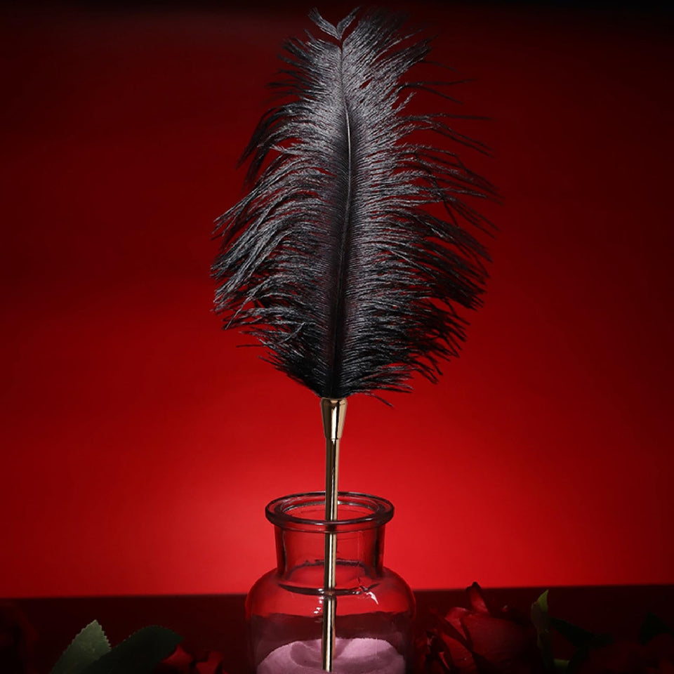 Sex Novelty Toys Sex Feather Tickler Sex Ticklers for Adults Bedroom Feather Teaser Feather Stick Spanking Toy Sex Whip for Role