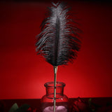 Sex Novelty Toys Sex Feather Tickler Sex Ticklers for Adults Bedroom Feather Teaser Feather Stick Spanking Toy Sex Whip for Role