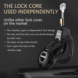 Lightweight Chastity Cage for Male Penis Cage Smooth KG Cock Cage Chastity Devices Key Sex Toy for Men Black Chastity for Men wi