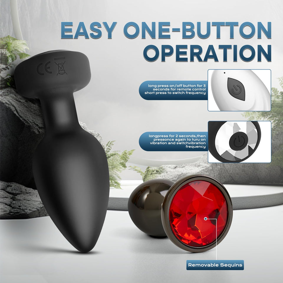 Anal Plug Vibrator with 2Pcs Butt Plug,Wireless Remote Control 10 Frequency Vibration,Small Butt Plug for Female Male Prostate M