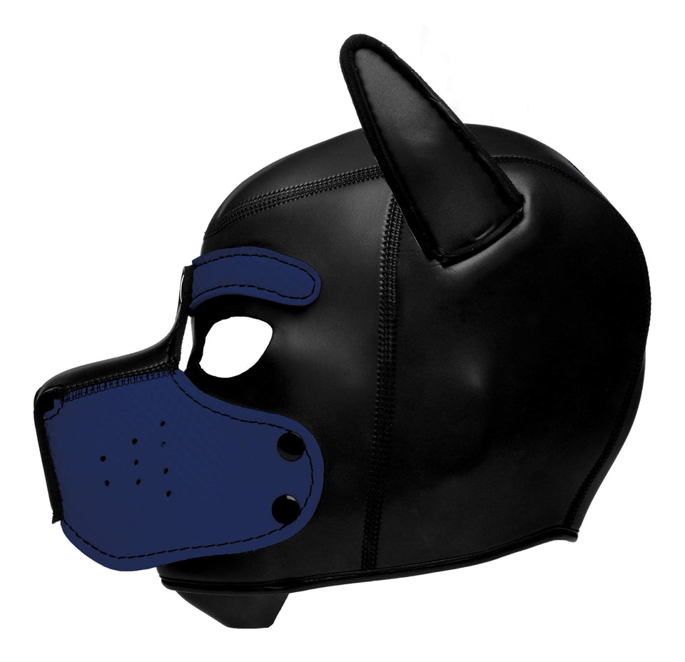Master Series Spike Neoprene Puppy Hood - Blue