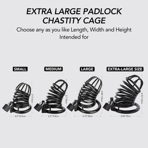 Male Cock Cage Chastity Device - Chastity Cage with 4 Active Rings Adult Sex Toy for Men Penis Exercise | Key and Lock Included