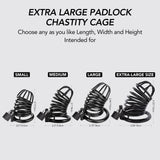 Male Cock Cage Chastity Device - Chastity Cage with 4 Active Rings Adult Sex Toy for Men Penis Exercise | Key and Lock Included