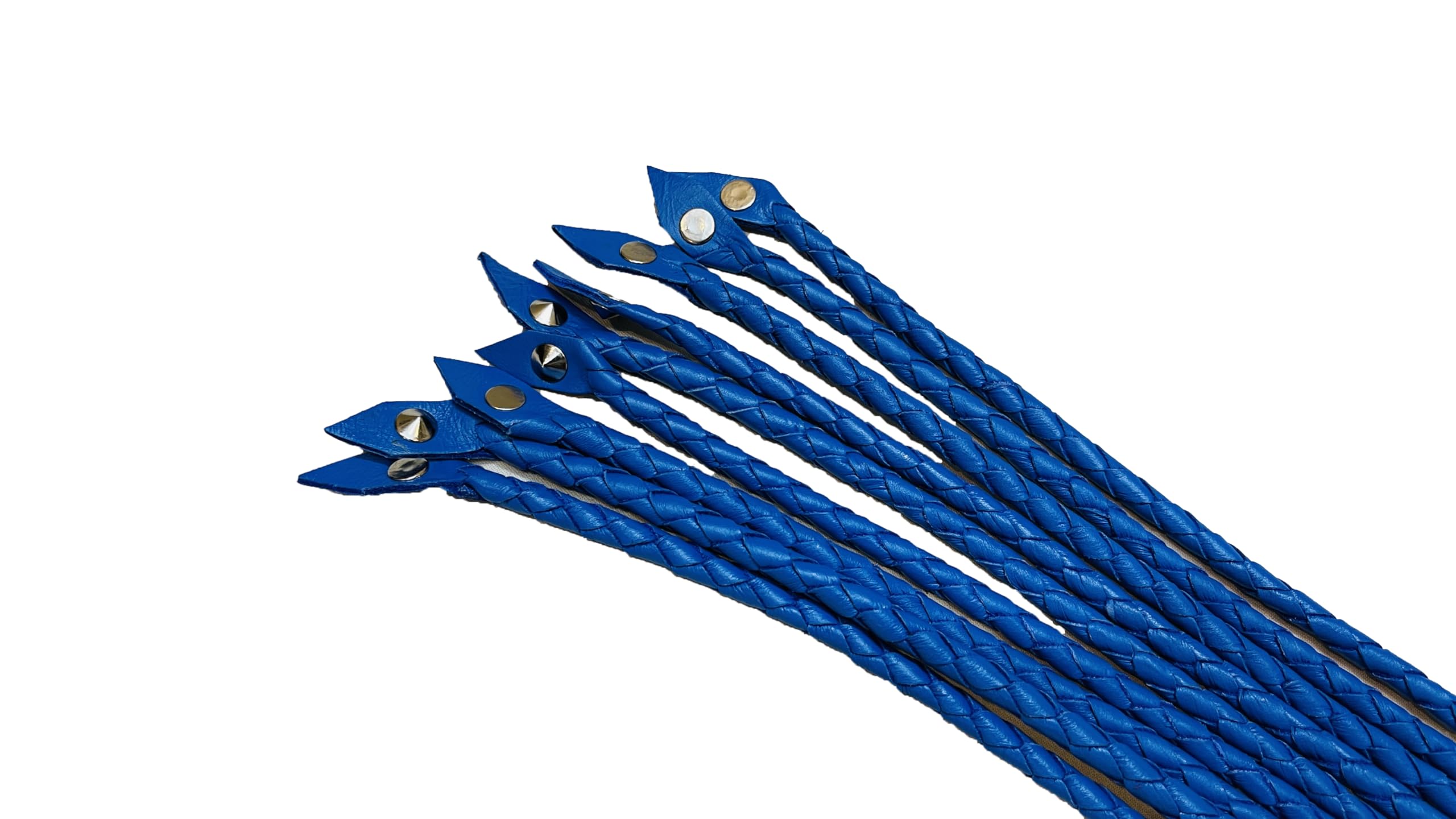 Generic Flogger Cat O Nine Braided 9 Tails Heavy Steel Studs Real Genuine Cow Hide Leather Floggers Valentine Day (Blue)