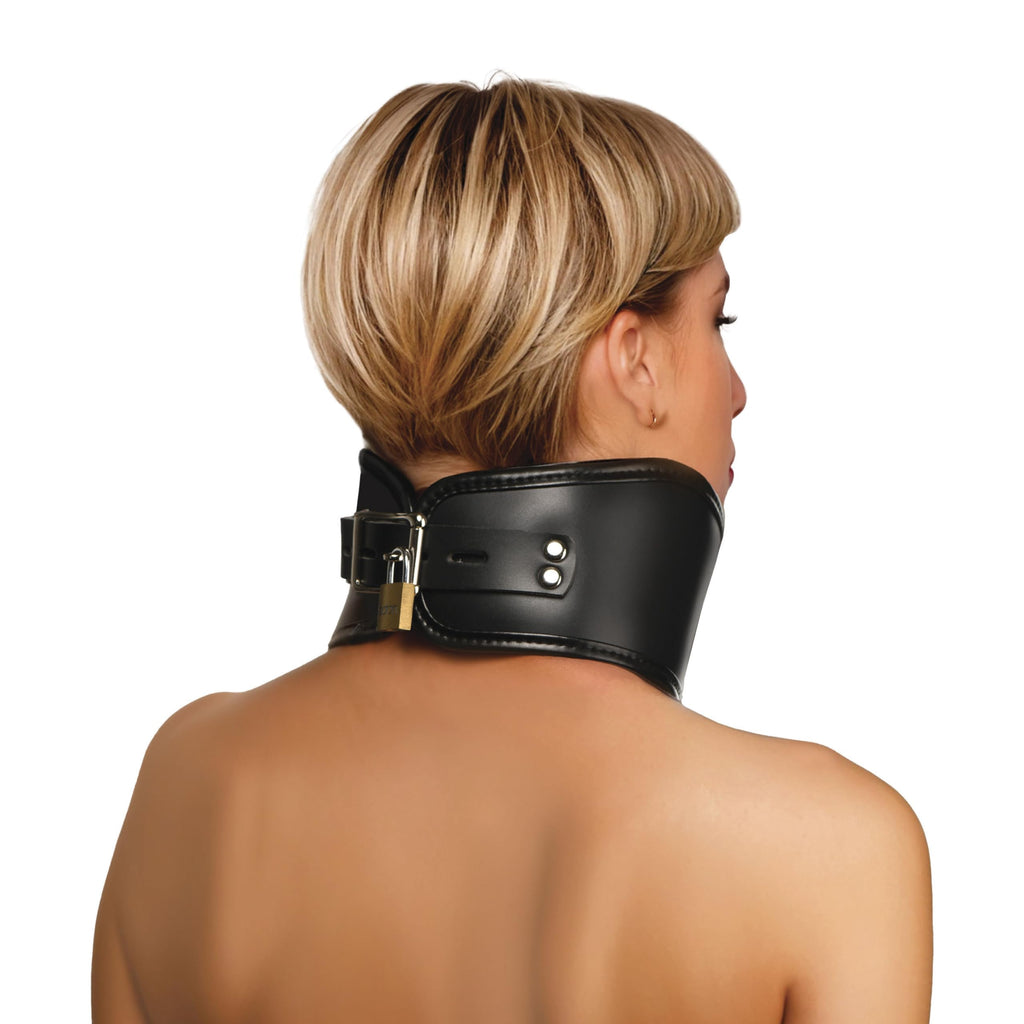 Master Series Padded Lock Posture Collar