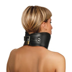 Master Series Padded Lock Posture Collar