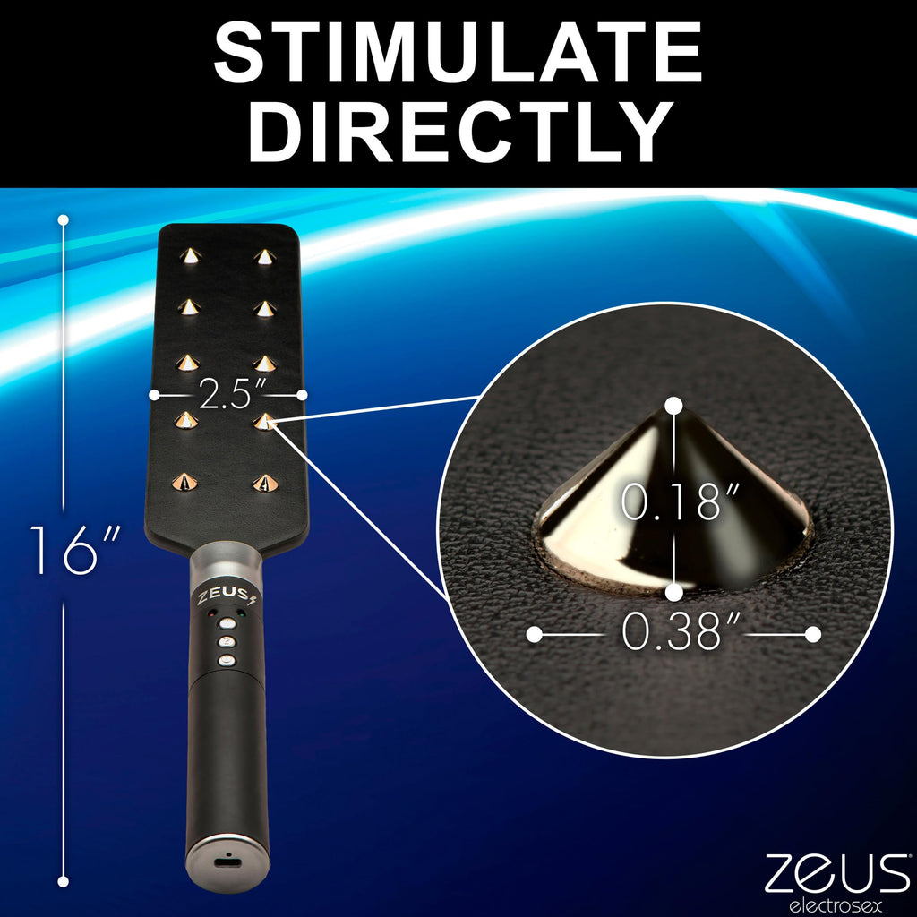 Zeus Electrosex E-Stim Spiked Paddle