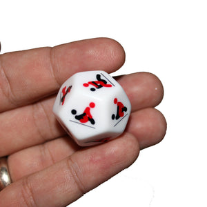 Sex Dice - Spicy Fun Love Game for Adult Couples - Funny Gift for Bachelor, Bachelorette, or Bridal Shower Party (9 Dice)