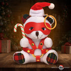 Master Series Holiday Bondage Bear Key W