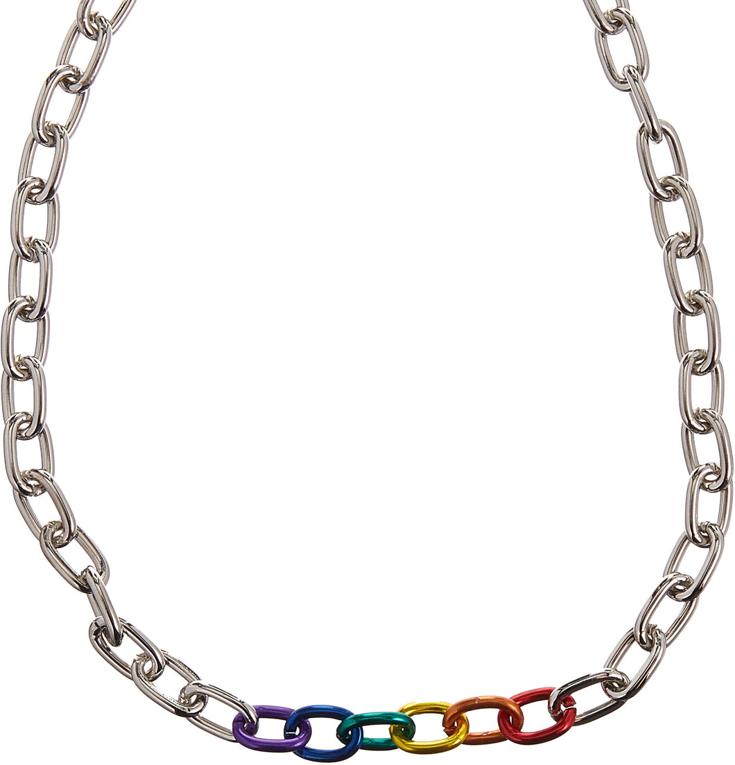 Gaysentials Rainbow & Silver Links Necklace - 20, 2.4 Ounce