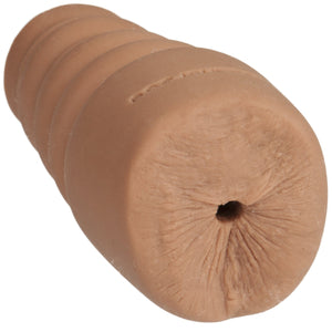 Noches Latinas Ur3 Palm Pal Ass