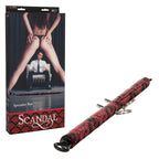 Calexotics Scandal Thong Harness - Luxury Pegging Strap On Harness For Couples - Black
