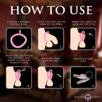 Master Series Vulva Lock Chastity Cage