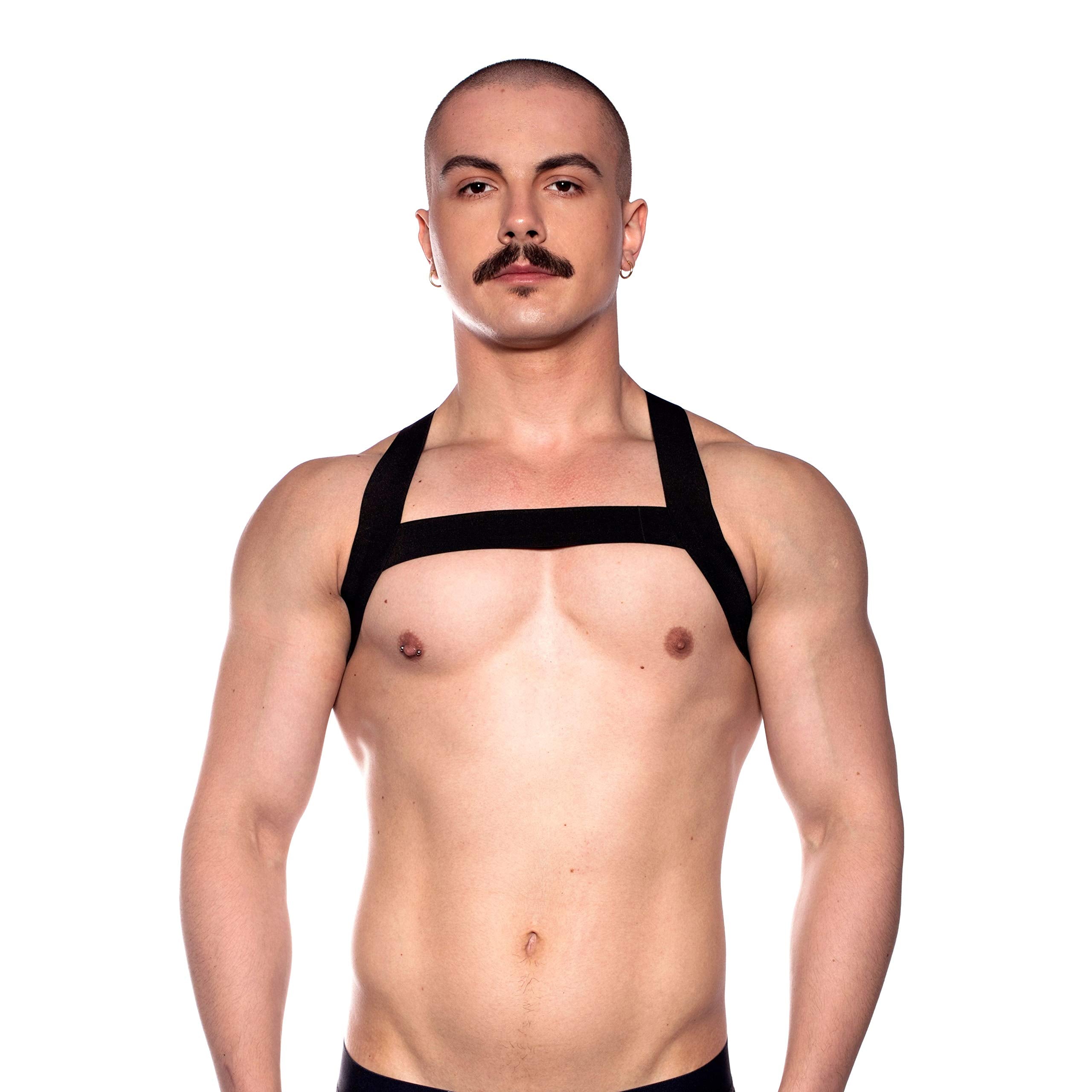 Prowler Red Sports Harness Black