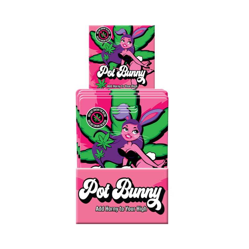 Pot Bunny 1ct 24Dp