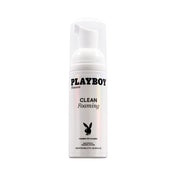 Pb Clean Foaming 17Oz