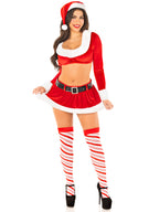 4 PC Hoho Hottie, Includes Velvet Crop Top with Faux Fur Trim, Mini Skirt, Belt, and Santa Hat