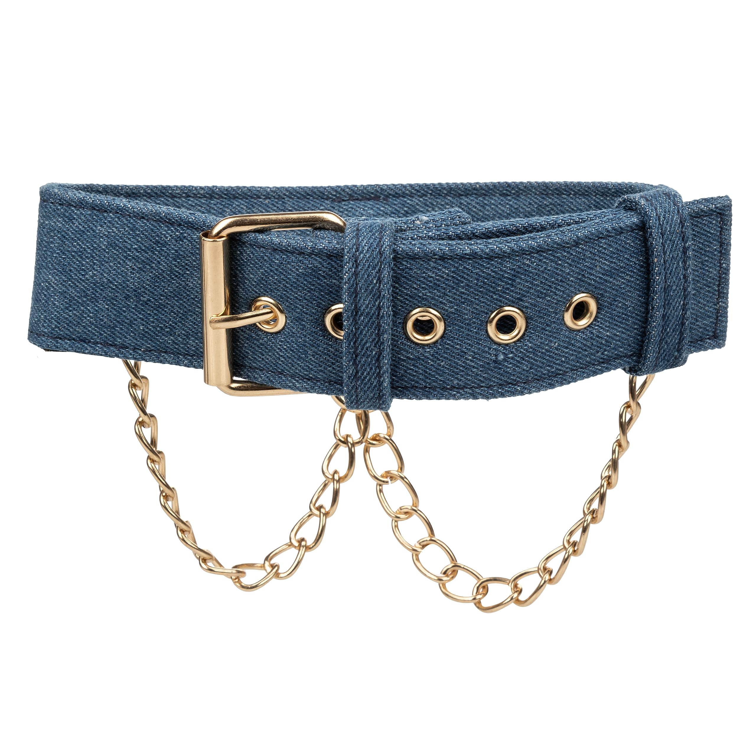 Ride 'Em Premium Denim Collection Collar With Leash