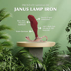 Zini Janus Lamp Iron-Bordeaux Large